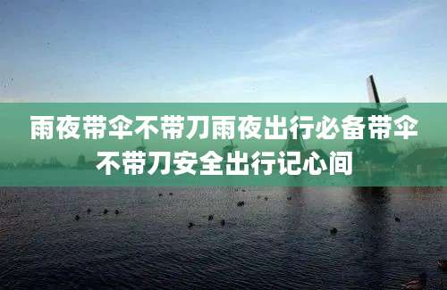 雨夜带伞不带刀雨夜出行必备带伞不带刀安全出行记心间