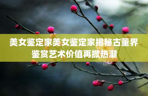 美女鉴定家美女鉴定家揭秘古董界鉴赏艺术价值再掀热潮