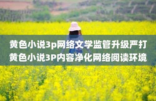 黄色小说3p网络文学监管升级严打黄色小说3P内容净化网络阅读环境