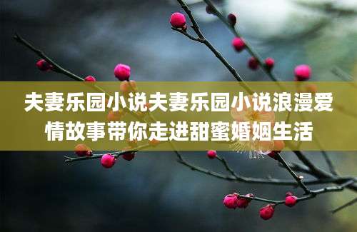 夫妻乐园小说夫妻乐园小说浪漫爱情故事带你走进甜蜜婚姻生活