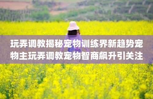 玩弄调教揭秘宠物训练界新趋势宠物主玩弄调教宠物智商飙升引关注