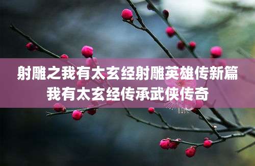 射雕之我有太玄经射雕英雄传新篇我有太玄经传承武侠传奇