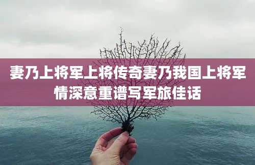 妻乃上将军上将传奇妻乃我国上将军情深意重谱写军旅佳话