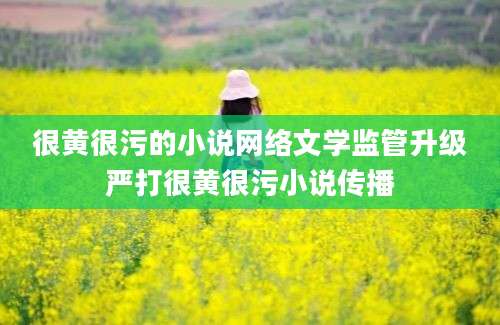 很黄很污的小说网络文学监管升级严打很黄很污小说传播