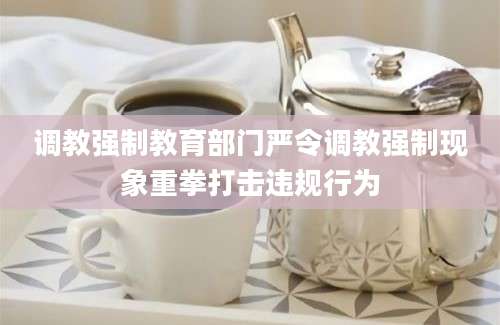 调教强制教育部门严令调教强制现象重拳打击违规行为