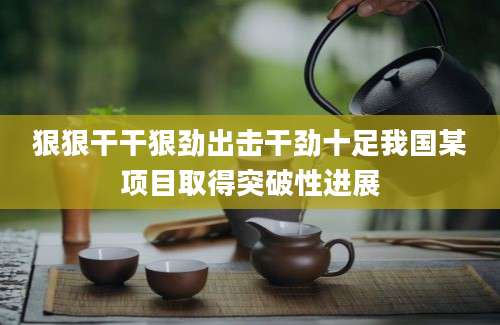 狠狠干干狠劲出击干劲十足我国某项目取得突破性进展