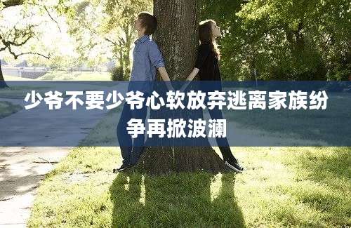 少爷不要少爷心软放弃逃离家族纷争再掀波澜