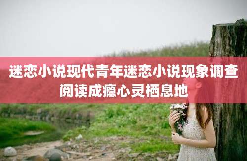 迷恋小说现代青年迷恋小说现象调查阅读成瘾心灵栖息地