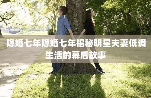 隐婚七年隐婚七年揭秘明星夫妻低调生活的幕后故事