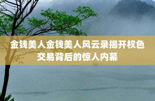 金钱美人金钱美人风云录揭开权色交易背后的惊人内幕
