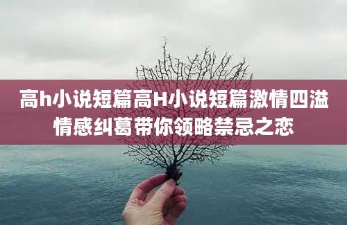 高h小说短篇高H小说短篇激情四溢情感纠葛带你领略禁忌之恋