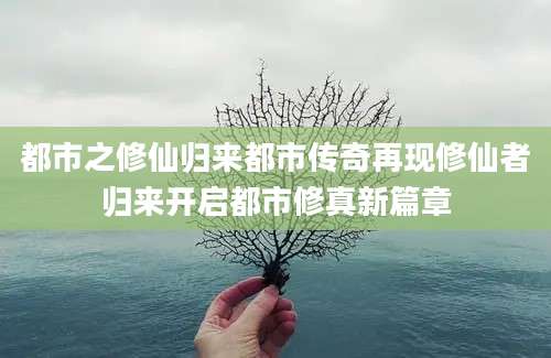 都市之修仙归来都市传奇再现修仙者归来开启都市修真新篇章