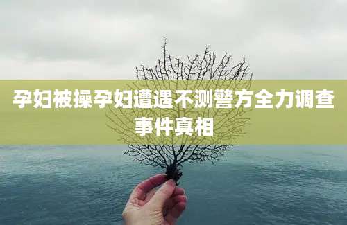 孕妇被操孕妇遭遇不测警方全力调查事件真相