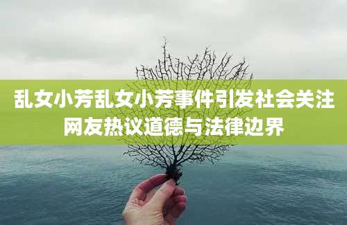 乱女小芳乱女小芳事件引发社会关注网友热议道德与法律边界