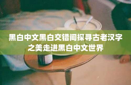 黑白中文黑白交错间探寻古老汉字之美走进黑白中文世界