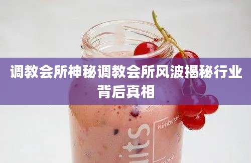 调教会所神秘调教会所风波揭秘行业背后真相