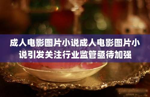 成人电影图片小说成人电影图片小说引发关注行业监管亟待加强