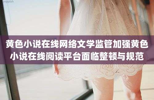 黄色小说在线网络文学监管加强黄色小说在线阅读平台面临整顿与规范