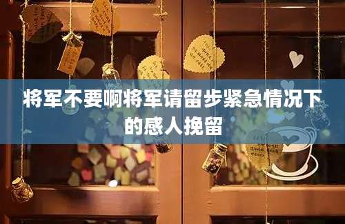 将军不要啊将军请留步紧急情况下的感人挽留