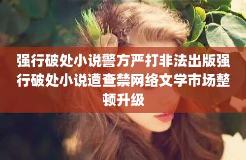 强行破处小说警方严打非法出版强行破处小说遭查禁网络文学市场整顿升级