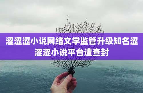 涩涩涩小说网络文学监管升级知名涩涩涩小说平台遭查封