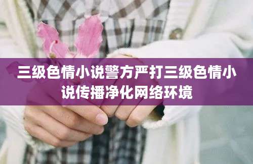 三级色情小说警方严打三级色情小说传播净化网络环境