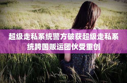 超级走私系统警方破获超级走私系统跨国贩运团伙受重创