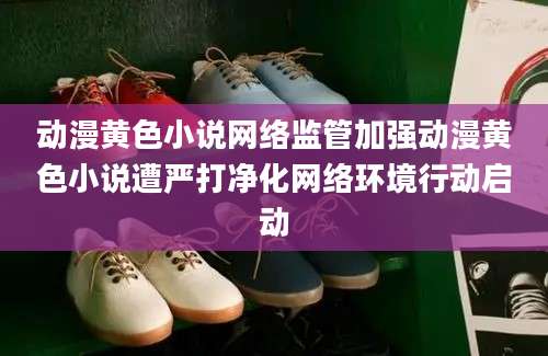 动漫黄色小说网络监管加强动漫黄色小说遭严打净化网络环境行动启动