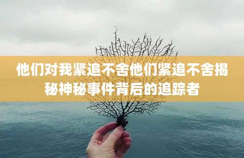 他们对我紧追不舍他们紧追不舍揭秘神秘事件背后的追踪者