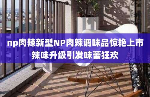 np肉辣新型NP肉辣调味品惊艳上市辣味升级引发味蕾狂欢