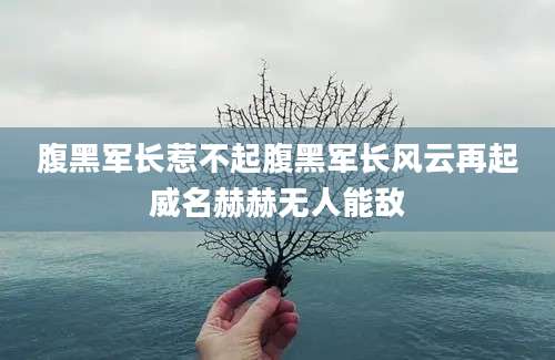 腹黑军长惹不起腹黑军长风云再起威名赫赫无人能敌