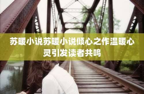 苏暖小说苏暖小说倾心之作温暖心灵引发读者共鸣
