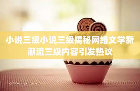 小说三级小说三级揭秘网络文学新潮流三级内容引发热议