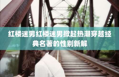 红楼迷男红楼迷男掀起热潮穿越经典名著的性别新解