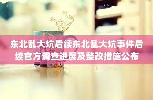 东北乱大炕后续东北乱大炕事件后续官方调查进展及整改措施公布