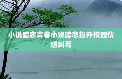 小说暗恋青春小说暗恋揭开校园情感纠葛
