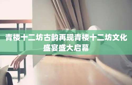 青楼十二坊古韵再现青楼十二坊文化盛宴盛大启幕