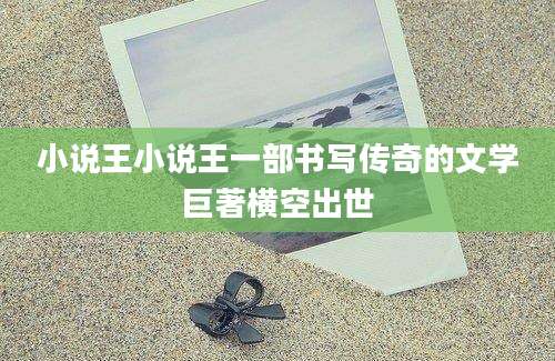 小说王小说王一部书写传奇的文学巨著横空出世