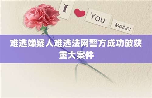 难逃嫌疑人难逃法网警方成功破获重大案件