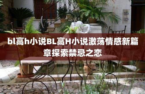 bl高h小说BL高H小说激荡情感新篇章探索禁忌之恋