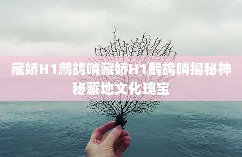 藏娇H1鹧鸪哨藏娇H1鹧鸪哨揭秘神秘藏地文化瑰宝