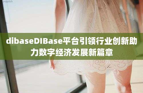 dibaseDIBase平台引领行业创新助力数字经济发展新篇章