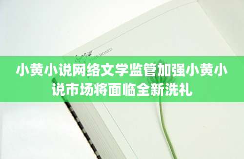 小黄小说网络文学监管加强小黄小说市场将面临全新洗礼