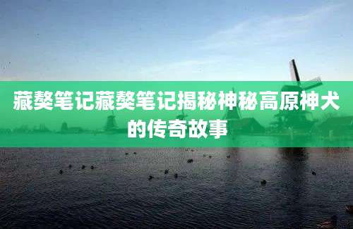 藏獒笔记藏獒笔记揭秘神秘高原神犬的传奇故事