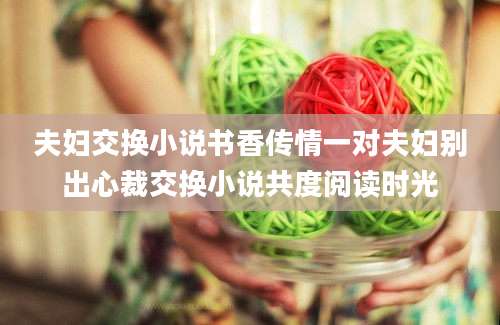 夫妇交换小说书香传情一对夫妇别出心裁交换小说共度阅读时光