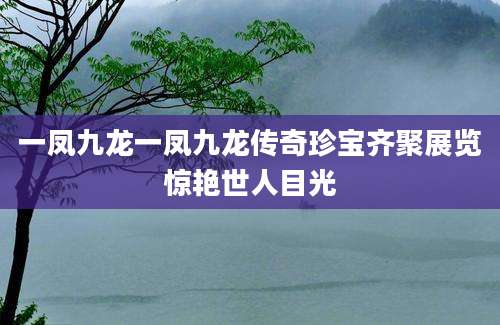 一凤九龙一凤九龙传奇珍宝齐聚展览惊艳世人目光