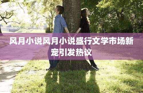 风月小说风月小说盛行文学市场新宠引发热议