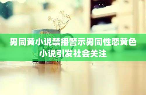 男同黄小说禁播警示男同性恋黄色小说引发社会关注