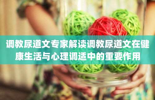 调教尿道文专家解读调教尿道文在健康生活与心理调适中的重要作用