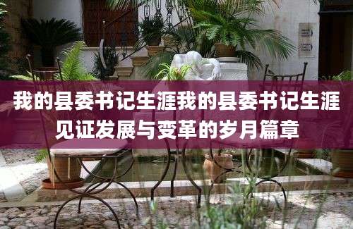 我的县委书记生涯我的县委书记生涯见证发展与变革的岁月篇章